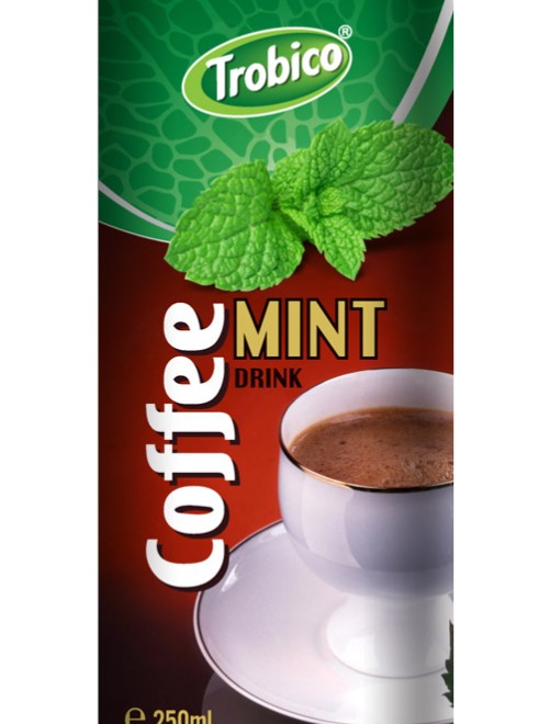 250ml Coffee mint drink alu can